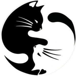 Meet your Posher, C&C